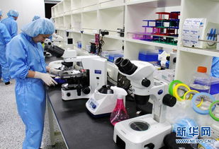 探訪韓國克隆工廠 走進秀巖生命工學研究所的科技與倫理邊界